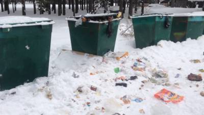 Подобравший у мусорки 500 тыс. рублей москвич стал фигурантом уголовного дела - nation-news.ru - Челябинск