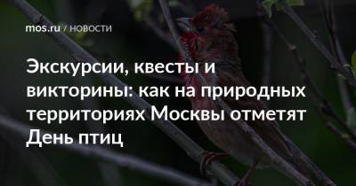 Экскурсии, квесты и викторины: как на природных территориях Москвы отметят День птиц - mos.ru - Москва