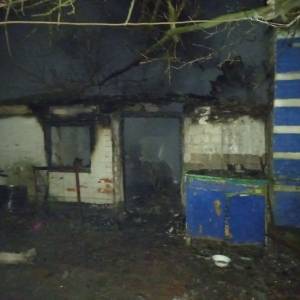 В Мелитопольском районе во время пожара погибли два человека. Фото - reporter-ua.com - Запорожская обл. - Гсчс