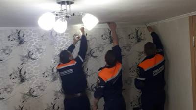 В Новороссийске реанимировали застрявшую в подвесном потолке кошку - vesti.ru - Новороссийск