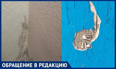 «Грибок и плесень»: новосибирец рассказал, как застройщик «СДС-строй» сдает квартиры, непригодные для жизни - bloknot.ru - Новосибирск