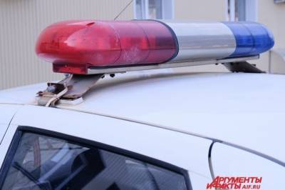 В Саратове двое полицейских спасли людей во время пожара - aif.ru - Саратов