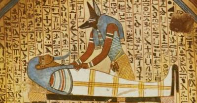 Куда исчезли животные из Египта, если они изображены на древних рисунках - skuke.net - Египет - штат Миссисипи - Сент-Луис