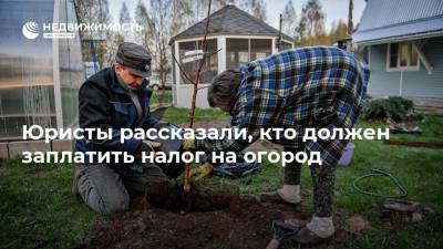 Юристы рассказали, кто должен заплатить налог на огород - realty.ria.ru - Москва