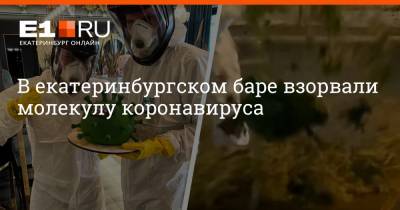 Михаил Мишустин - В екатеринбургском баре взорвали молекулу коронавируса - e1.ru - Екатеринбург - Свердловская обл.