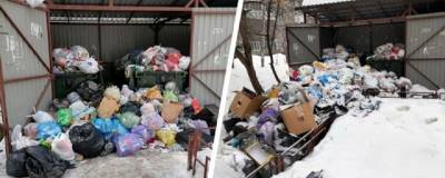 В Новосибирске из-за снега мусоровоз два дня не мог убрать мусор во дворе дома - runews24.ru - Новосибирск