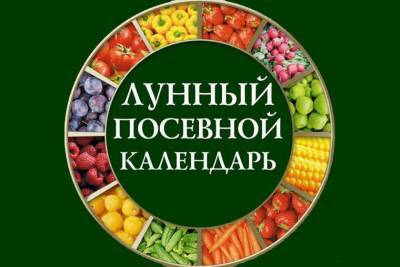 Посевной календарь на апрель: что и когда нужно сажать - vchaspik.ua