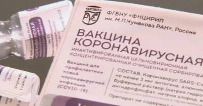 Валерий Фальков - Третью российскую вакцину от коронавируса «КовиВак» начнут поставлять 28 марта – Учительская газета - ug.ru