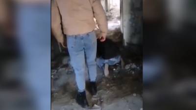 Появилось видео с избиением школьницы в Приморье - riafan.ru - Приморье край - Владивосток