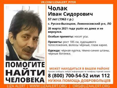 Элизабет Алерт - В Ломоносовском районе без вести пропал 57-летний мужчина с усами - ivbg.ru - Ленобласть