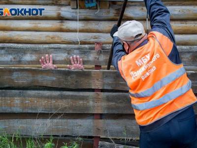 «Сосновый бор», который обеспечивает работой более 100 человек, пытаются снести - bloknot.ru - Волгоград