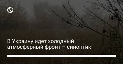 Наталья Диденко - В Украину идет холодный атмосферный фронт – синоптик - liga.net - Киев