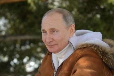 Владимир Путин - Путин рассказал о своем падении с лошади - 24smi.org
