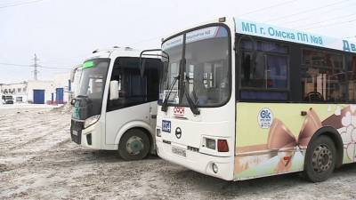 Полиция взялась за поиски водителя, прищемившего школьницу дверью - vesti.ru - Омск