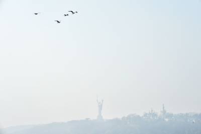 Киев оказался среди лидеров в мире по загрязненности воздуха - 24tv.ua - Киев - Болгария - Македония - Скопье - София - район Киева