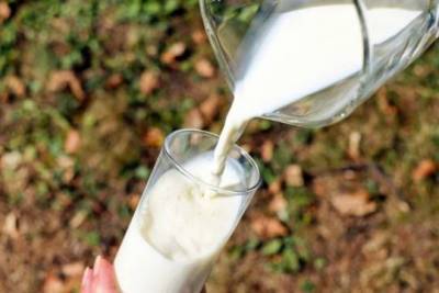 Кристина Журавлева - Специалист развеяла главный миф о пользе магазинного молока - versia.ru