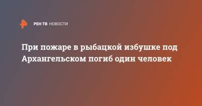 При пожаре в рыбацкой избушке под Архангельском погиб один человек - ren.tv - Архангельск - р-н Приморский - Архангельская обл.