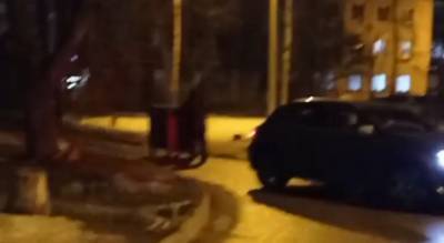 "Мужик бак мусорный спер": ярославцы обсуждают странное видео в сети - progorod76.ru - Ярославская обл. - Ярославль