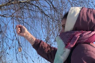 Лесничий из Жешарта призвала местных жителей украшать деревья баранками - bnkomi.ru - район Усть-Вымский