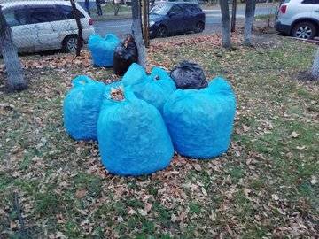 Мэрия Уфы сообщила о скором старте месячника по санитарной очистке - ufacitynews.ru - Уфа