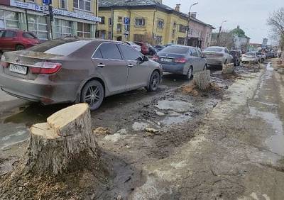 «Северная компания» срубила деревья на улице Радищева - ya62.ru - Рязань - Застройка