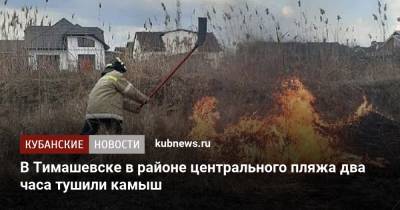 В Тимашевске в районе центрального пляжа два часа тушили камыш - kubnews.ru - Краснодарский край - Краснодар - Тимашевск