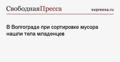 В Волгограде при сортировке мусора нашли тела младенцев - svpressa.ru - Волгоград