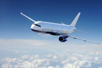 МАУ, SkyUp и Bees Airline подали новые заявки на маршруты - minfin.com.ua - Украина - Киев - Лондон - Запорожье - Ташкент - Албания - Тирана