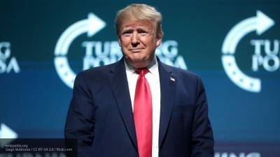Дональд Трамп - Владимир Брутер - Джо Байден - Брутер назвал условие, при котором Трамп может вернуться в большую политику - nation-news.ru - Техас - Мексика