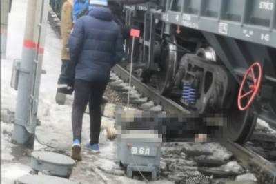 Под колесами поезда в Ленинском районе Новосибирска погибла женщина - runews24.ru - Новосибирск
