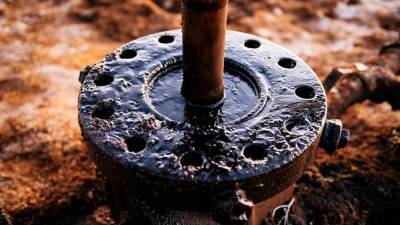 Жители Намибии потребовали от канадской компании прекратить добычу нефти в Кованго - riafan.ru - Намибия