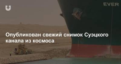 Опубликован свежий снимок Суэцкого канала из космоса - news.tut.by - Египет