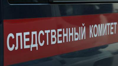 Посетитель музея в Выборге упал с шестиметровой высоты - iz.ru - Ленинградская обл. - Санкт-Петербург - Израиль