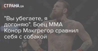 Хабиб Нурмагомедов - Дастин Порье - “Вы убегаете, я догоняю”. Боец ММА Конор Макгрегор сравнил себя с собакой - skuke.net - США