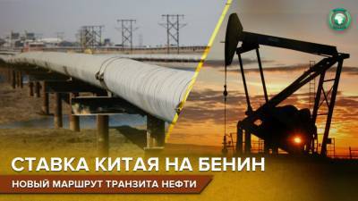 Новый игрок на рынке: почему Бенин займется транзитом китайской нефти из Нигера - riafan.ru - Камерун - Чад - Нигер - Бенин