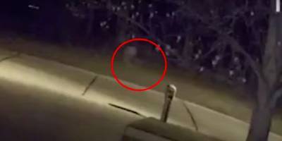Жителей города Ментор в Огайо шокировало видео с девочкой призраком, которая бегает по улицам - ТЕЛЕГРАФ - telegraf.com.ua - США - шт. Огайо