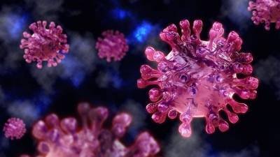 В Чехии выявили новый штамм коронавируса - 5-tv.ru - Чехия - Брно