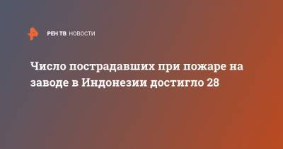 Число пострадавших при пожаре на заводе в Индонезии достигло 28 - ren.tv - Индонезия