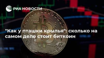 Вильям Гейтс - "Как у пташки крылья": сколько на самом деле стоит биткоин - smartmoney.one - Голландия