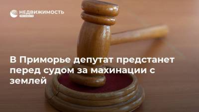 В Приморье депутат предстанет перед судом за махинации с землей - realty.ria.ru - Приморье край - Владивосток
