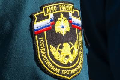 В Тульской области за минувшие сутки спасатели потушили 1 пожар - tula.mk.ru - Тула - Тульская обл.