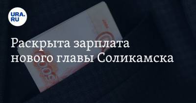 Алексей Федотов - Раскрыта зарплата нового главы Соликамска - ura.news - Соликамск