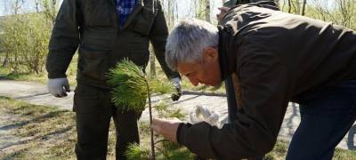Артур Парфенчиков - Парфенчиков рассказала о лидерстве Карелии в восстановлении лесов - stolicaonego.ru - окр.Сзфо - республика Карелия
