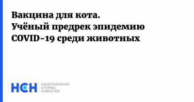 Александр Гинцбург - Вакцина для кота. Учёный предрек эпидемию COVID-19 среди животных - nsn.fm - Дания