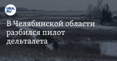В Челябинской области разбился пилот дельталета - ura.news - Челябинская обл. - Челябинск - Уральск