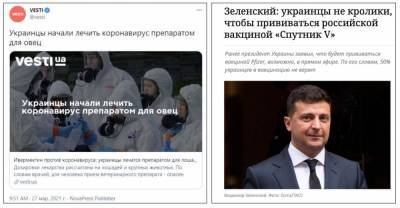 Украина лечится от «короны» препаратом для овец - vesti.uz - Узбекистан