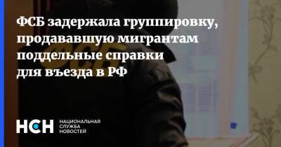 ФСБ задержала группировку, продававшую мигрантам поддельные справки для въезда в РФ - nsn.fm - Новосибирская обл.