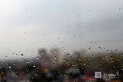Потепление до +8°С и дожди придут в Нижний Новгород на этой неделе - vgoroden.ru - Нижний Новгород - Нижний Новгород
