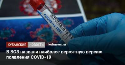 В ВОЗ назвали наиболее вероятную версию появления COVID-19 - kubnews.ru