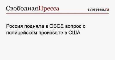 Александр Лукашевич - Россия подняла в ОБСЕ вопрос о полицейском произволе в США - svpressa.ru